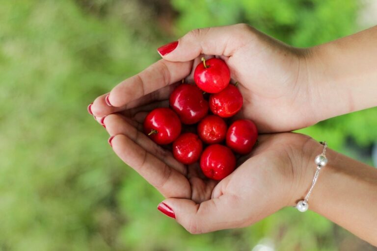 Acerola propiedades _ Unsplash Manu Camargo