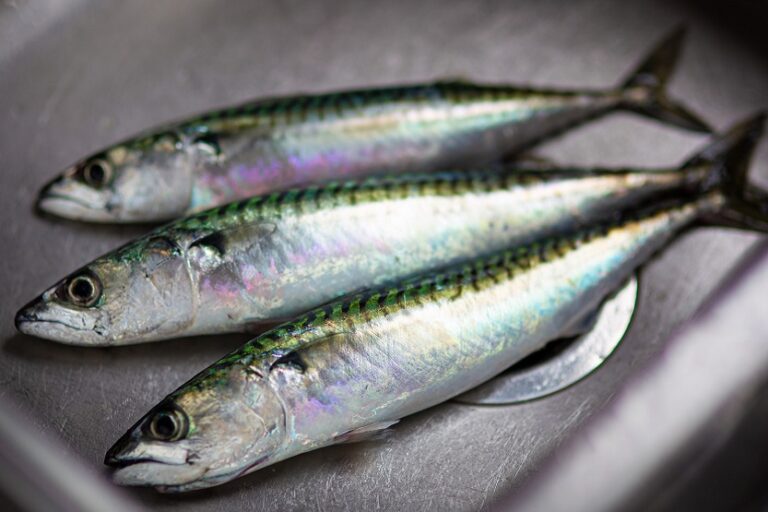 Alimentos con omega 3 - Unsplash Ben Wicks