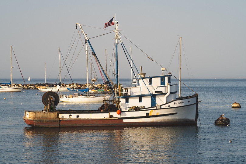 Barco pesquero