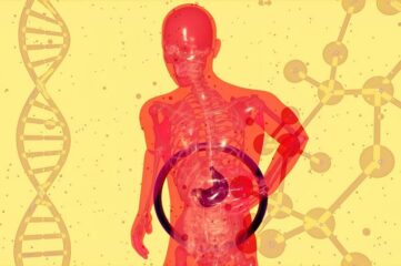 Salud metabólica, digestiva y del sistema nervioso