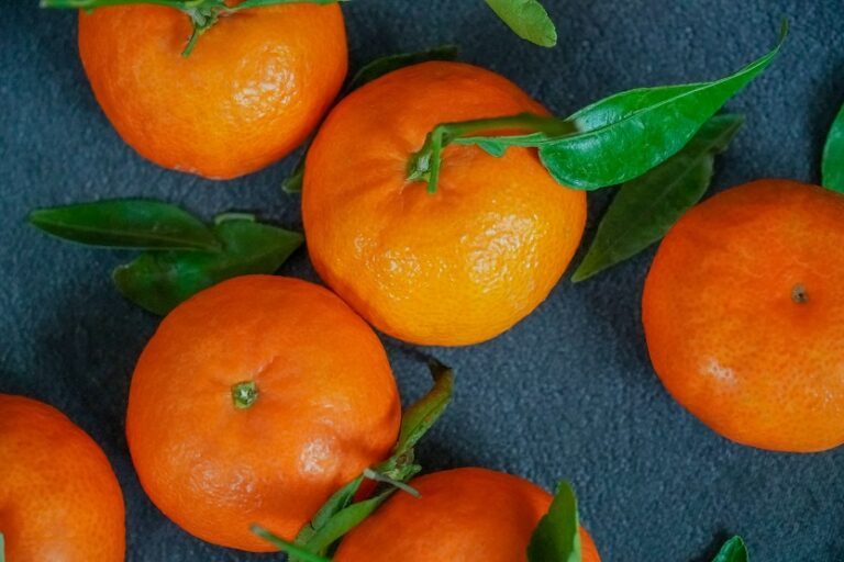 La mandarina, fruta de invierno - Unsplash Karolina Kolodziejczak