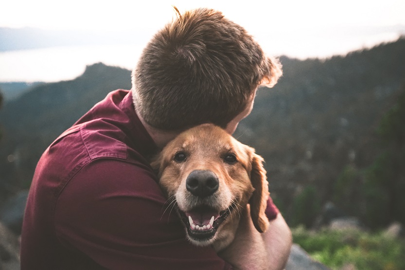 Lee más sobre el artículo Mascotas y salud mental