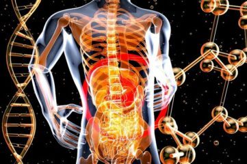 Microbiota y longevidad