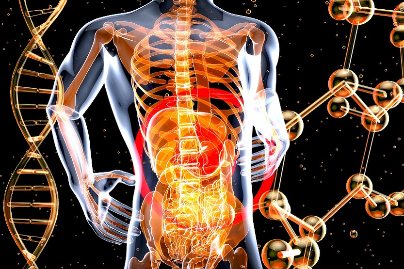 Lee más sobre el artículo Microbiota y longevidad