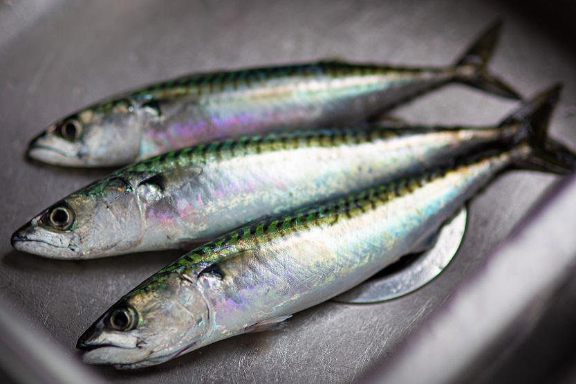 Lee más sobre el artículo Pescado azul, fuente de grasas saludables
