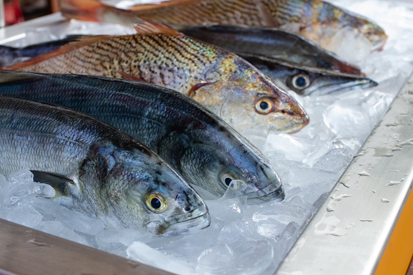 Pescado blanco y pescado azul - Unsplash Camila Igisk