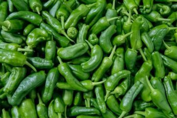 Pimientos de Padrón