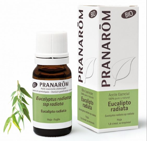 Pranarom aceite esencial de eucalipto