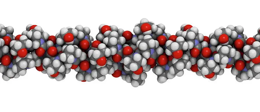 Proteinas de gelatina