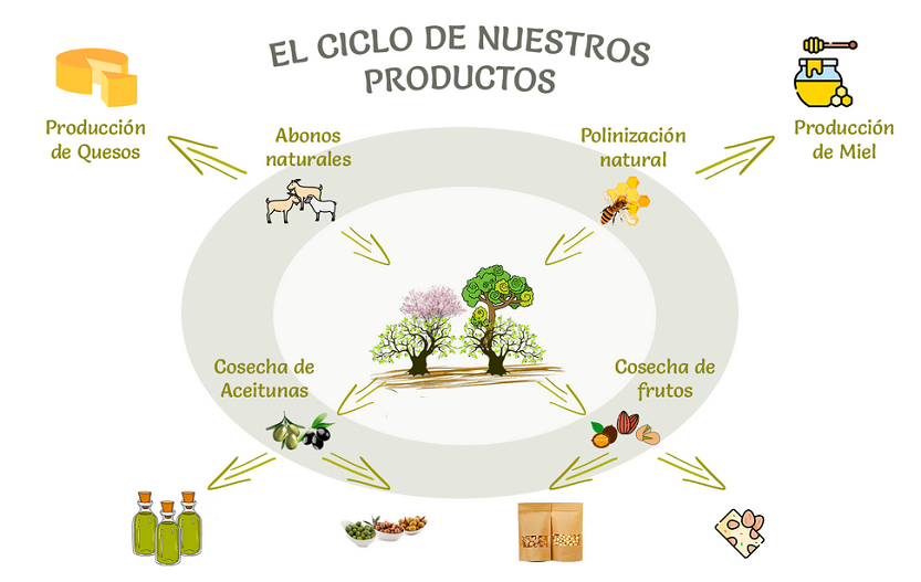 Tierra de Renacimiento, ciclo virtuoso de productos