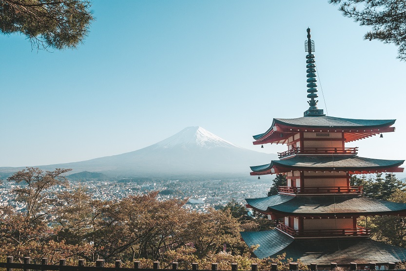 Reishi y medicina oriental - Unsplash Filiz Elaerts