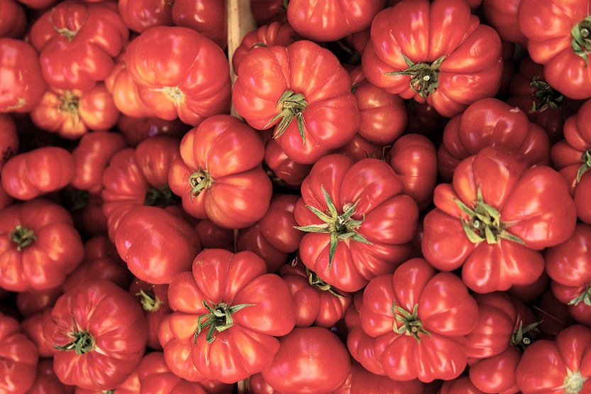 Lee más sobre el artículo Tomate rosa, una delicia tardía