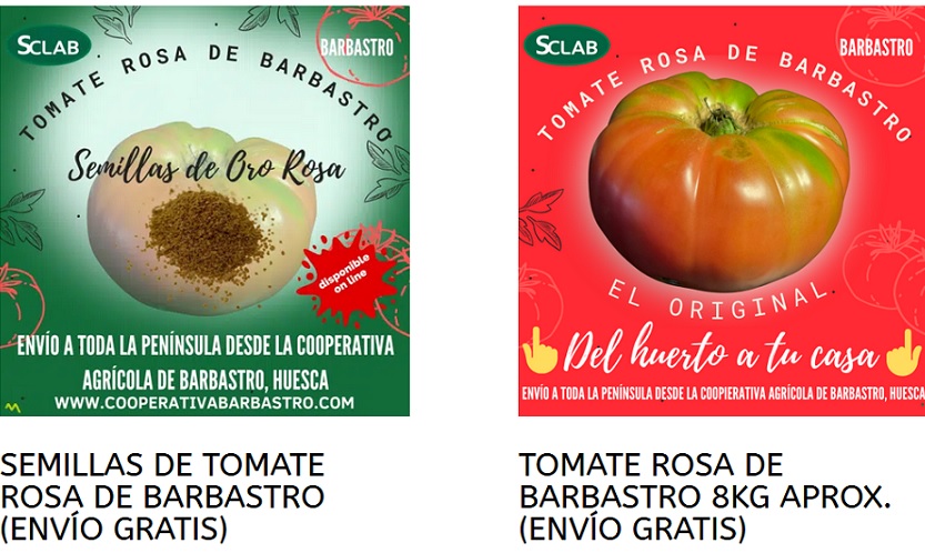 Tomate rosa de Barbastro