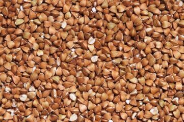 Trigo sarraceno y cereales
