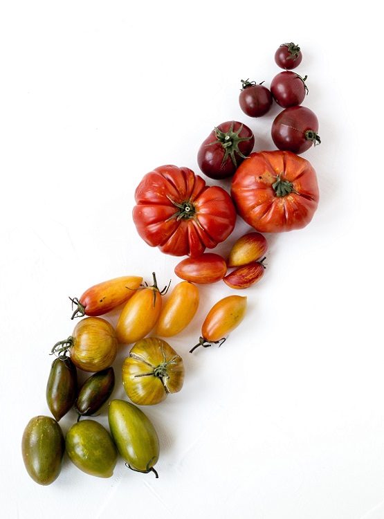 Variedades de tomate - Unsplash Rezel Apacionado