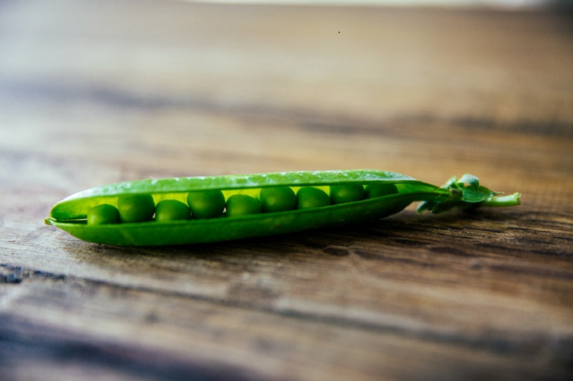 Lee más sobre el artículo Judías verdes, verdura de temporada